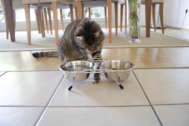 Discount Smart Cat Litter